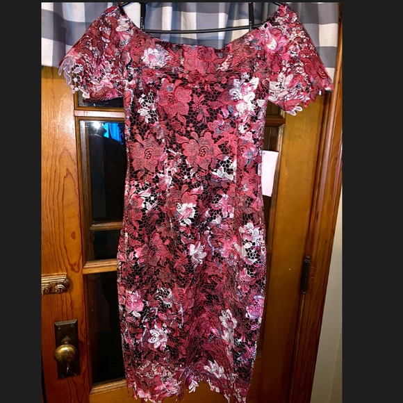 Pink Lace Dress - Picture 5 of 5